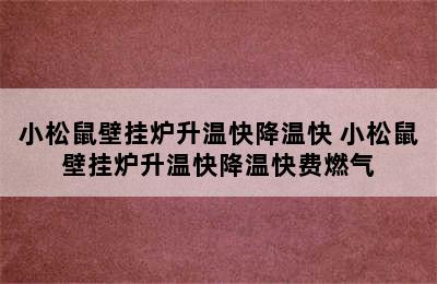 小松鼠壁挂炉升温快降温快 小松鼠壁挂炉升温快降温快费燃气